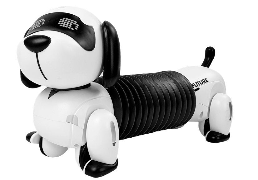 Interaktiver Roboter Hund Ferngesteuert Musik Sound Fernbedienung Ball