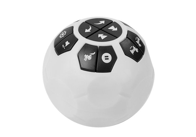 Interaktiver Roboter Hund Ferngesteuert Musik Sound Fernbedienung Ball