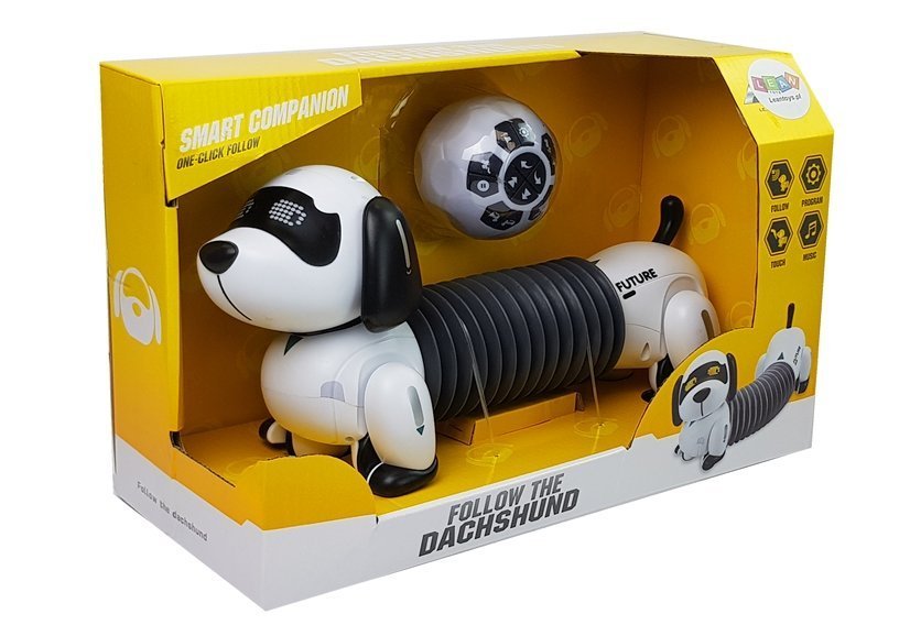 Interaktiver Roboter Hund Ferngesteuert Musik Sound Fernbedienung Ball