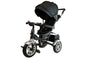 Tricycle PRO600 Black Handlebar Sunshade Shock Absorber Children's Tricycle