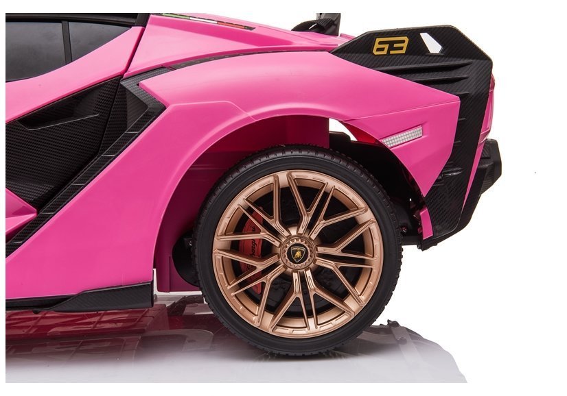 Elektrische Fahrt auf Auto Lamborghini Sian Rose